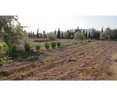 Parcela en Venta en Monovar - Monover, Alicante