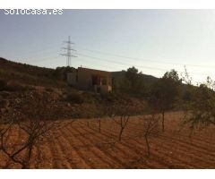 FINCA CON CASA REFORMADA Y BODEGA EN EL SEMISOTANO