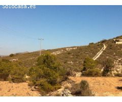 FINCA CON CASA REFORMADA Y BODEGA EN EL SEMISOTANO