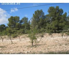 Caserón con bodega antigua y tierras