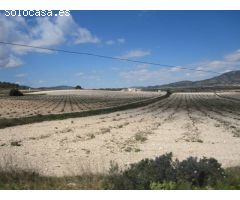 Caserón con bodega antigua y tierras