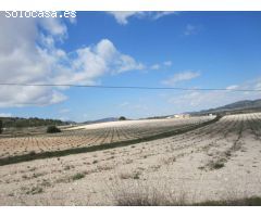 Caserón con bodega antigua y tierras