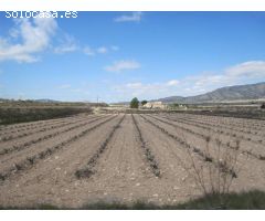 Caserón con bodega antigua y tierras