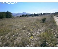 TERRENO RUSTICO EN MUY BUENA ZONA