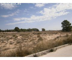 TERRENO RUSTICO