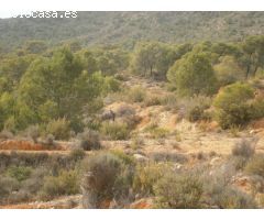 Terreno rural en Venta en Monovar - Monover, Alicante