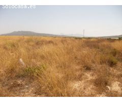PARCELA DE TERRENO CON AGUA DE RIEGO