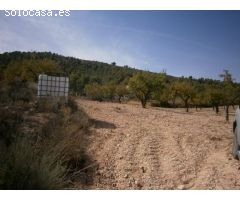 TERRENO EN HONDON  DE LAS NIEVES