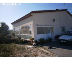 Campo en Monovar