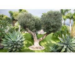 Casa-Chalet en Venta en Adeje Santa Cruz de Tenerife