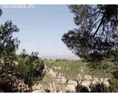 Suelo rústico en Venta en Jumilla Murcia 