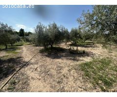Parcela de terreno Rural cercana al casco urbano