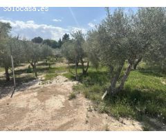 Parcela de terreno Rural cercana al casco urbano