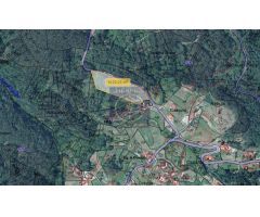 Terreno rustico ideal para explotacion 10.000 m2 en Tui
