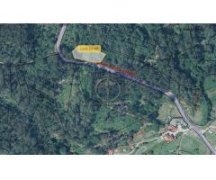 Terreno rustico ideal para explotacion 10.000 m2 en Tui