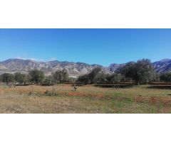 Casa de campo-Masía en Venta en Durcal Granada Ref: cor299