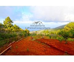 Casa de campo-Masía en Venta en Llano Negro Santa Cruz de Tenerife 