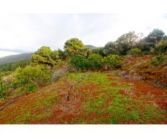 Casa de campo-Masía en Venta en Llano Negro Santa Cruz de Tenerife 
