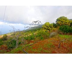 Casa de campo-Masía en Venta en Llano Negro Santa Cruz de Tenerife 