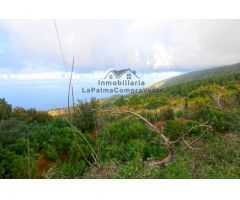 Casa de campo-Masía en Venta en Llano Negro Santa Cruz de Tenerife 