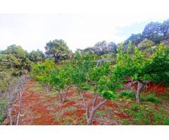 Casa de campo-Masía en Venta en Llano Negro Santa Cruz de Tenerife 