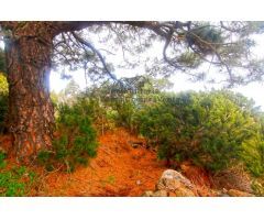 Casa de campo-Masía en Venta en Llano Negro Santa Cruz de Tenerife 