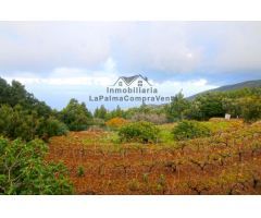 Casa de campo-Masía en Venta en Llano Negro Santa Cruz de Tenerife 
