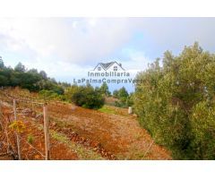 Casa de campo-Masía en Venta en Llano Negro Santa Cruz de Tenerife 