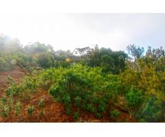 Casa de campo-Masía en Venta en Llano Negro Santa Cruz de Tenerife 
