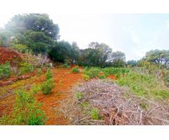 Casa de campo-Masía en Venta en Llano Negro Santa Cruz de Tenerife 