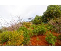 Casa de campo-Masía en Venta en Llano Negro Santa Cruz de Tenerife 
