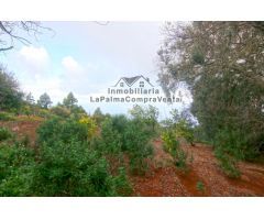 Casa de campo-Masía en Venta en Llano Negro Santa Cruz de Tenerife 