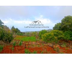 Casa de campo-Masía en Venta en Llano Negro Santa Cruz de Tenerife 