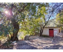 Casa de pueblo en Venta en Pinos Del Valle Granada Ref: cor254