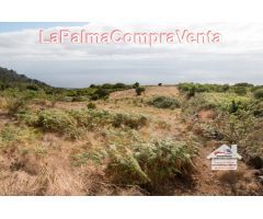 Suelo urbanizable en Venta en Villa De Mazo Santa Cruz de Tenerife 