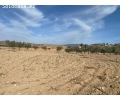 Nave con terreno, vallada, para reformar a  S O L O 3 minutos de Pinoso