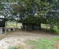 Casa de campo-Masía en Venta en Gondomar Pontevedra Ref: Da01007122