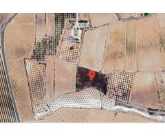 Terreno rural en Venta en Pinoso, Alicante