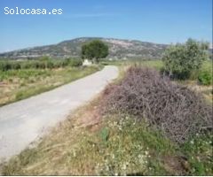 Terreno rural en Venta en Pinoso, Alicante