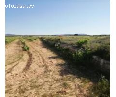 Terreno rural en Venta en Pinoso, Alicante