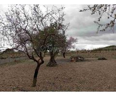 Casa de campo-Masía en Venta en Yecla Murcia 