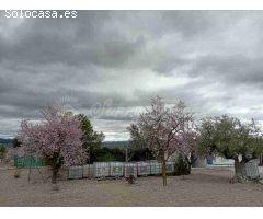 Casa de campo-Masía en Venta en Yecla Murcia 