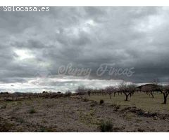 Casa de campo-Masía en Venta en Yecla Murcia 