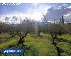Casa de campo-Masía en Venta en Alhaurin El Grande Málaga