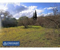 Casa de campo-Masía en Venta en Alhaurin El Grande Málaga