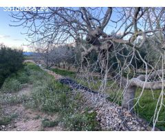 Encantador terreno con agua y luz de 1,2 ha