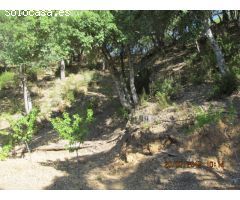 Casa de campo-Masía en Venta en Jubrique Málaga 