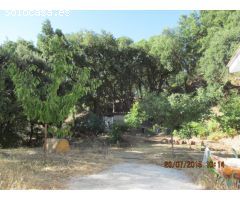 Casa de campo-Masía en Venta en Jubrique Málaga 