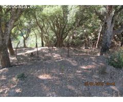 Casa de campo-Masía en Venta en Jubrique Málaga 