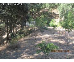 Casa de campo-Masía en Venta en Jubrique Málaga 